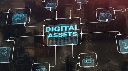Innovación: Una nueva Línea de Negocio enfocada exclusivamente en los Activos Digitales
