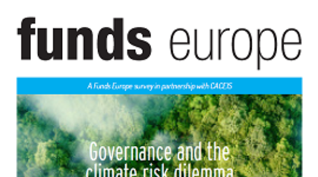 Governance and the climate risk dilemma