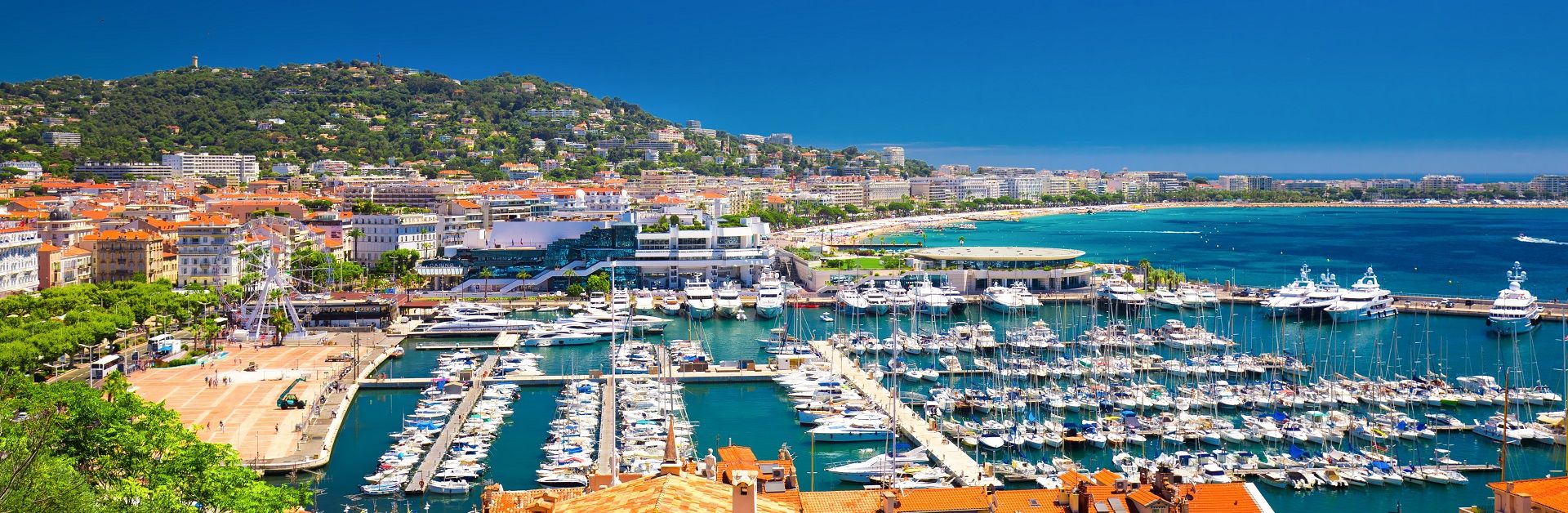 IPEM 2022 - Cannes