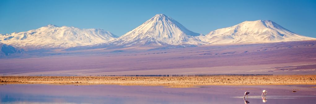 The New Andean Market: Chile, Colombia  And Peru Take A Step Forward