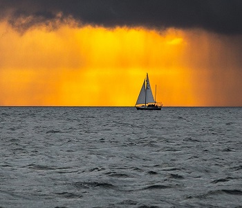 Navigating sustainability regulation in the UK
