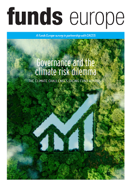 Governance and the climate risk dilemma