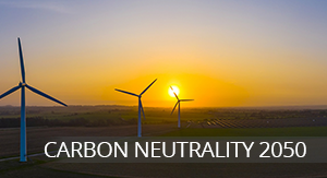 CARBON NEUTRALITY 2050