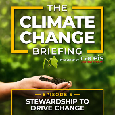 We look at the ways in which stewardship and voting can be a powerful tool to reinforce climate policies of asset owners and asset managers We look at the ways in which stewardship and voting can be a powerful tool to reinforce climate policies of asset owners and asset managers